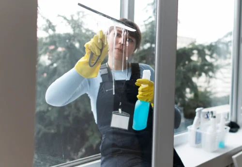 Nettoyage de vitres intérieures et extérieures à Férolles